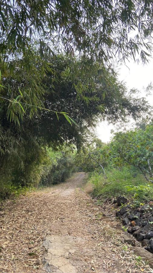 Villa Lermitage Farms Kashid Alibaug Exterior foto